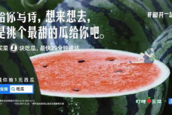 娱乐吃瓜文案图片大全,吃瓜群众必备的图文盛宴