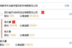 成都数字娱乐软件,引领潮流的创新力量