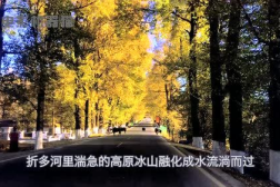 娱乐吃瓜君的作品,揭秘娱乐圈那些不为人知的幕后故事